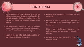 • Los hongos existen en prácticamente todos los
hábitats, se conocen actualmente alrededor de
100.000 especies diferentes, del estimado de
más de un millón de especies totales en el
planeta.
• Son organismos eucariotas, que no poseen
clorofila, por lo que su nutrición es heterótrofa,
es decir, se alimentan de materia orgánica.
• Según el tipo de vida, los hongos pueden ser
saprofitos, parásitos y simbiontes.
REINO FUNGI
• Pertenecen a este reino : los mohos, setas y
levaduras
• Muchos de ellos se utilizan en la industria de
los alimentos y la farmacología, como las
levaduras.
• Otros son patógenos, causantes de
enfermedades en personas, animales y
plantas.
• La rama de la biología que estudia los hongos
es la micología.
 