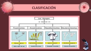 CLASIFICACIÓN
 