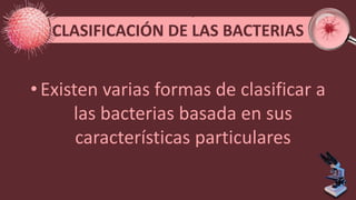 CLASIFICACIÓN DE LAS BACTERIAS
• Existen varias formas de clasificar a
las bacterias basada en sus
características particulares
 