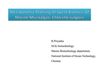 R.Priyanka
M.Sc biotechnology
Marine Biotechnology department,
National Institute of Ocean Technology,
Chennai
 