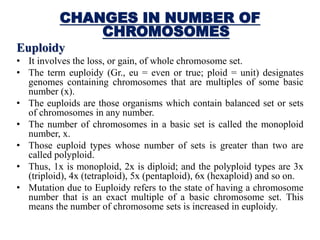 Euploid Example M.sc genetics study material | PDF