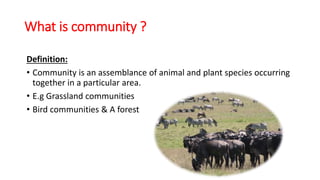 Ecological sampling | PPTX