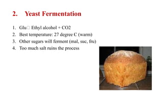 Fermentatio Fermentation and it's types | PPTX