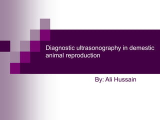 Diagnostic ultrasonography in demestic
animal reproduction
By: Ali Hussain
 