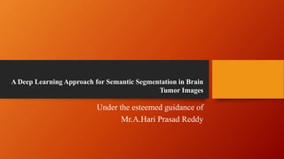 A Deep Learning Approach for Semantic Segmentation in Brain
Tumor Images
Under the esteemed guidance of
Mr.A.Hari Prasad Reddy
 
