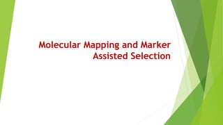 Molecular Mapping and Marker
Assisted Selection
 