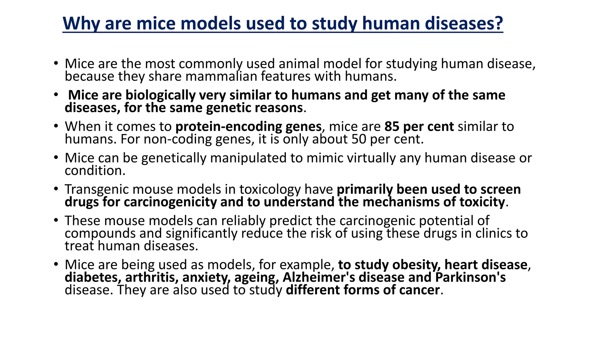 M.Sc; Transgenic mice as a model of human diseases.pptx