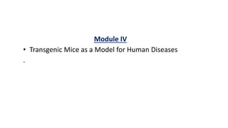 Module IV
• Transgenic Mice as a Model for Human Diseases
.
 