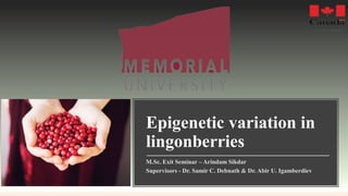Epigenetic variation in
lingonberries
M.Sc. Exit Seminar – Arindam Sikdar
Supervisors - Dr. Samir C. Debnath & Dr. Abir U. Igamberdiev
 