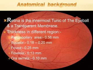 Retina is the innermost Tunic of The Eyeball
& a Transparent Membrane.
 Thickness in different region:-
 Peripappilary area:- 0.56 mm
 Equator:- 0.18 – 0.20 mm
 Fovea:- 0.25 mm
 Foveola:- 0.13 mm
 Ora serrata:- 0.10 mm
 