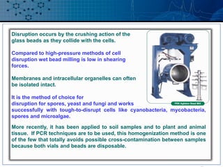 Soli Disruption cell disruption technologies for bioprocess | PPT