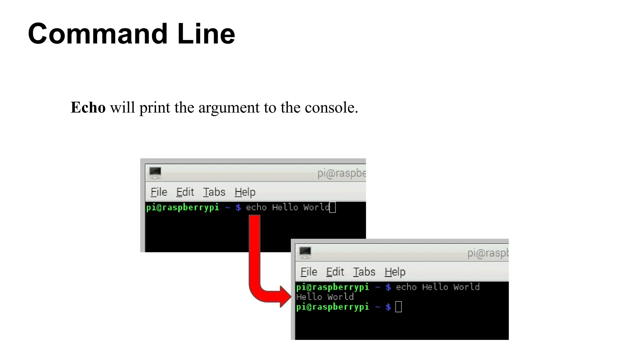 Command Line
Echo will print the argument to the console.
 