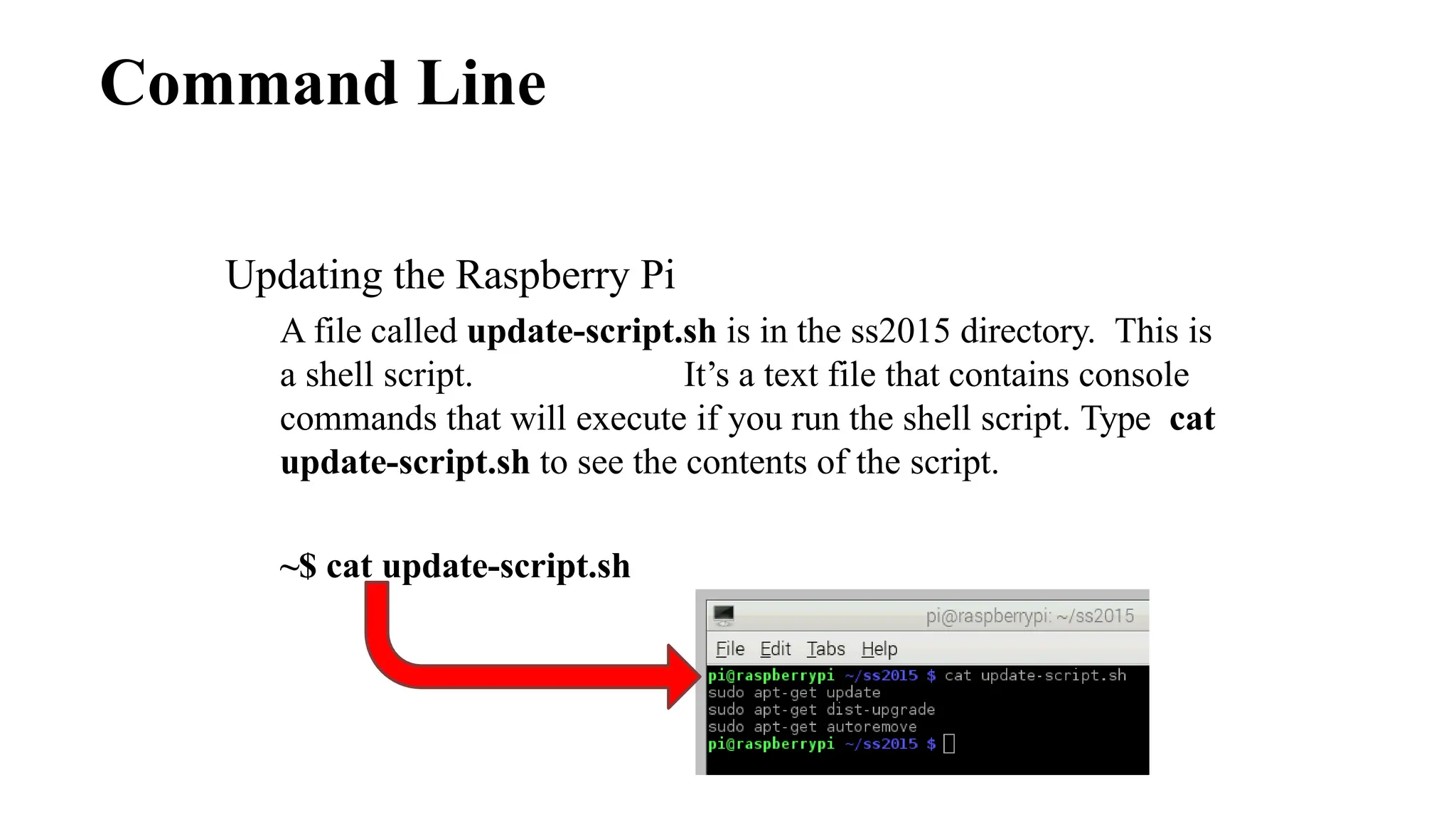 Command Line
Updating the Raspberry Pi
A file called update-script.sh is in the ss2015 directory. This is
a shell script. It’s a text file that contains console
commands that will execute if you run the shell script. Type cat
update-script.sh to see the contents of the script.
~$ cat update-script.sh
 