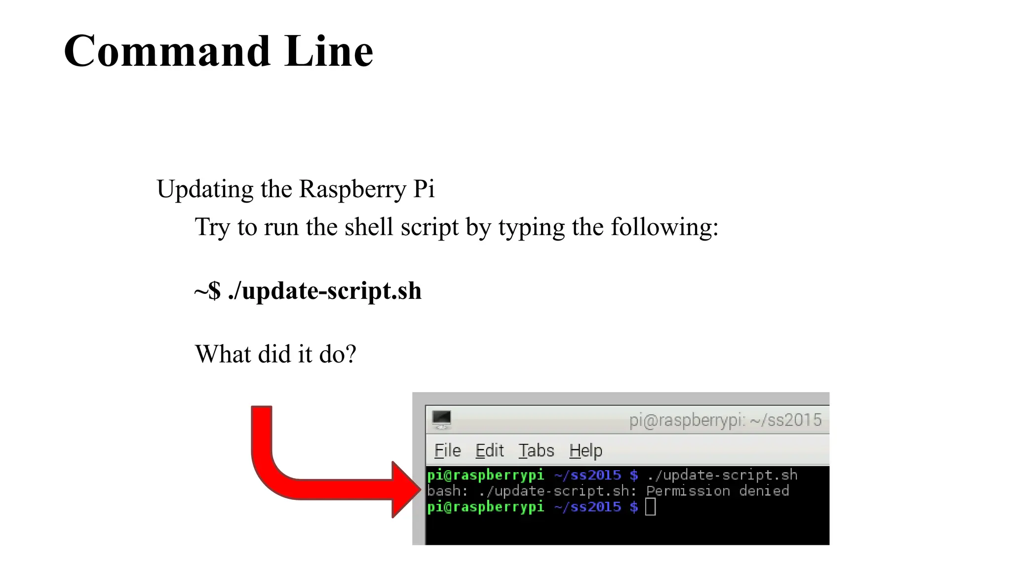 Command Line
Updating the Raspberry Pi
Try to run the shell script by typing the following:
~$ ./update-script.sh
What did it do?
 