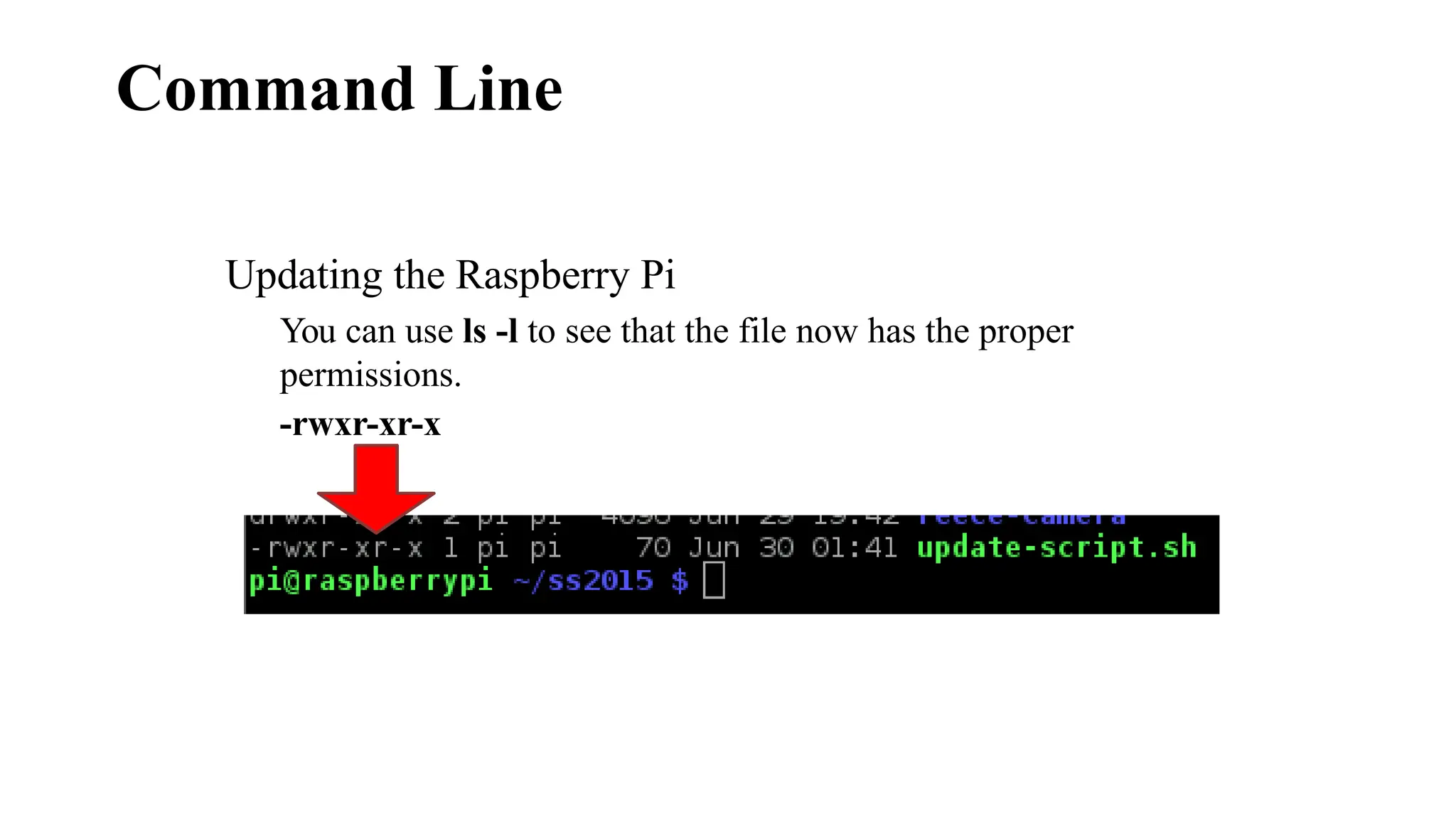 Command Line
Updating the Raspberry Pi
You can use ls -l to see that the file now has the proper
permissions.
-rwxr-xr-x
 