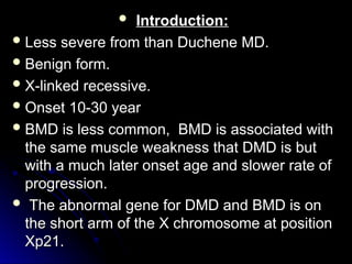  Introduction:
Introduction:
 Less severe from than Duchene MD.
Less severe from than Duchene MD.
 Benign form.
Benign form.
 X-linked recessive.
X-linked recessive.
 Onset 10-30 year
Onset 10-30 year
 BMD is less common, BMD is associated with
BMD is less common, BMD is associated with
the same muscle weakness that DMD is but
the same muscle weakness that DMD is but
with a much later onset age and slower rate of
with a much later onset age and slower rate of
progression.
progression.
 The abnormal gene for DMD and BMD is on
The abnormal gene for DMD and BMD is on
the short arm of the X chromosome at position
the short arm of the X chromosome at position
Xp21.
Xp21.
 