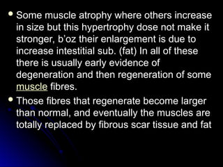  Some muscle atrophy where others increase
Some muscle atrophy where others increase
in size but this hypertrophy dose not make it
in size but this hypertrophy dose not make it
stronger, b’oz their enlargement is due to
stronger, b’oz their enlargement is due to
increase intestitial sub. (fat) In all of these
increase intestitial sub. (fat) In all of these
there is usually early evidence of
there is usually early evidence of
degeneration and then regeneration of some
degeneration and then regeneration of some
muscle fibres.
fibres.
 Those fibres that regenerate become larger
Those fibres that regenerate become larger
than normal, and eventually the muscles are
than normal, and eventually the muscles are
totally replaced by fibrous scar tissue and fat
totally replaced by fibrous scar tissue and fat
 