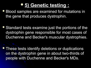  5) Genetic testing :
5) Genetic testing :
 Blood samples are examined for mutations in
Blood samples are examined for mutations in
the gene that produces dystrophin.
the gene that produces dystrophin.
 Standard tests examine just the portions of the
Standard tests examine just the portions of the
dystrophin gene responsible for most cases of
dystrophin gene responsible for most cases of
Duchenne and Becker's muscular dystrophies.
Duchenne and Becker's muscular dystrophies.
 These tests identify deletions or duplications
These tests identify deletions or duplications
on the dystrophin gene in about two-thirds of
on the dystrophin gene in about two-thirds of
people with Duchenne and Becker's MDs.
people with Duchenne and Becker's MDs.
 