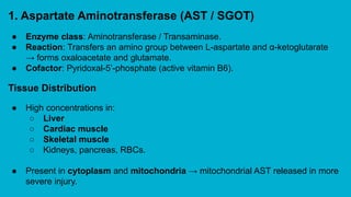 M.tech DE Clinical significance of Enzymes. Clinical Applications of ...