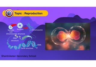 M. Raj_Reproduction Std 10th_Male and Female Reproduction_Sexual ...