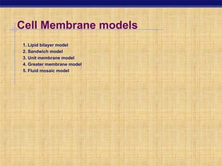 M. Raja_ CellMembraneDiffusion.ppt cell membrane | PPT