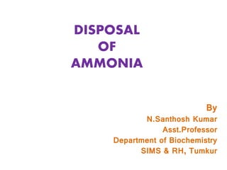 DISPOSAL
OF
AMMONIA
By
N.Santhosh Kumar
Asst.Professor
Department of Biochemistry
SIMS & RH, Tumkur
 