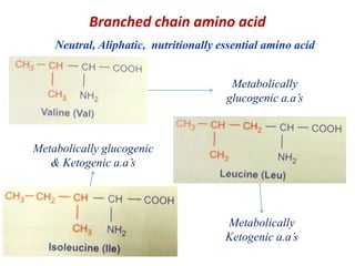 AAM-5 Branched chain & OH group containing amino acids | PPT