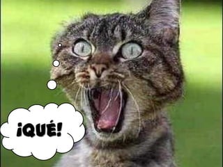 ¡Qué!
 
