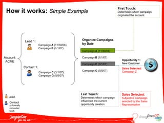 M A S005  Wildt 091807