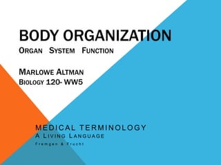 Body OrganizationOrgan   System   FunctionMarlowe AltmanBiology 120- WW5 MEDICAL TERMINOLOGYA Living Language Fremgen & Frucht 