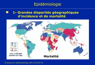 El Serag et al. Gastroenterology 2007;132:2557-76 Epidémiologie Taux /100 000 ajustés sur l’âge Mortalité 1- Grandes disparités géographiques d’incidence et de mortalité 