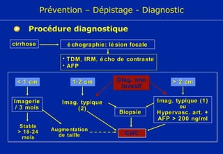 échographie: lésion focale < 1 cm 1-2 cm > 2 cm Diag. non invasif Biopsie Imagerie / 3 mois CHC Augmentation de taille cirrhose TDM ,  IRM ,  écho de contraste AFP Imag. typique (2) Imag. typique (1) ou Hypervasc. art. + AFP > 200 ng/ml Bruix et Sherman. Hepatology 2005;42:1208-36 Stable > 18-24 mois Prévention – Dépistage - Diagnostic Procédure diagnostique 
