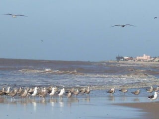 El mar es un azar ¡Qué tentación echar una botella al mar! 