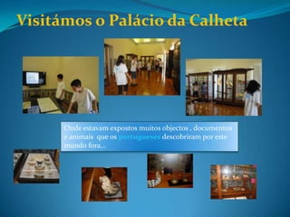 Visitámos o Palácio da CalhetaOnde estavam expostos muitos objectos , documentos e animais  que os portugueses descobriram por este mundo fora… 