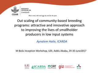 Out scaling of community-based breeding
programs: attractive and innovative approach
to improving the lives of smallholder
producers in low input systems
Aynalem Haile, ICARDA
M-BoSs Inception Workshop, ILRI, Addis Ababa, 29-30 June2017
 