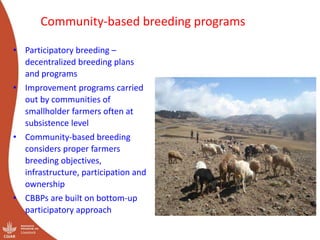 Out scaling of community-based breeding programs: Attractive and innovative approach to improving the lives of smallholder producers in low input systems