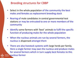 Out scaling of community-based breeding programs: Attractive and innovative approach to improving the lives of smallholder producers in low input systems