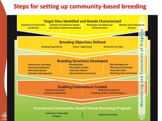 Out scaling of community-based breeding programs: Attractive and innovative approach to improving the lives of smallholder producers in low input systems