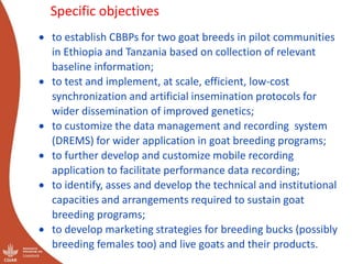 Out scaling of community-based breeding programs: Attractive and innovative approach to improving the lives of smallholder producers in low input systems