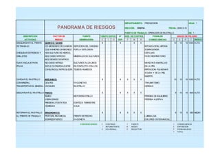 DEPARTAMENTO: PRODUCCION HOJA: 1 
PANORAMA DE RIESGOS SECCIÓN: MINERIA FECHA: 2000.5.15 
PUESTO DE TRABAJO: OPERADOR DE RASTRILLO DE: 1 
DESCRIPCION FACTOR DE FUENTE TIEMPO EXPOS. Nº MED. DE CONTROL POSIBLES GRADO DE PELIGRO 
ACTIVIDAD RIESGO GENERADORA C I O EXP. F M R CONSECUENCIAS C E P T RIESGO 
DESQUINCHAR EL FRENTE QUIMICO: GASES 8 6 X X 10 10 10 1000 ALTO 
DE TRABAJO CO-MONOXIDO DE CARBON DEPLECION DEL OXIGENO INTOXICACION, HIPOXIA 
CO2-ANHIDRID.CARBONICO POR LA EXPLOSION SOMNOLENCIA 
CHEQUEAR ESTROBOS Y H2S:SULFURO DE HIDROG. CEFALIAS 
GRILLETES NO2:OXIDO NITROSO MINERALES DE SULFUROS PARO RESPIRATORIO 
NO2:DIOXIDO DE NITROG. 
FIJAR ANCLAJE PARA NO:OXIDO NITRICO SULFUROS ALCALINOS MANCHAS AMARILLAS 
POLEA S2CL2:CLORURO/AZUFRE EN CONTACTO CON LOS EN LA PIEL 
C3H5(ONO3)2 NITROGLICER. TEJIDOS HUMEDOS IRRITACION: PULMONAR 
AGUDA Y DE LA PIEL 
MUERTE 
CARGAR EL RASTRILLO MECANICO: 8 6 X X X 10 10 10 1000 ALTO 
CON MINERAL GOLPES VAGONETAS TRAUMATISMO 
TRANSPORTAR EL MINERAL CHOQUES RASTRILLO HERIDAS 
DESCARGAR EL RASTRILLO FISICO: 8 6 X X X 8 10 10 800 ALTO 
RUIDO MOTOR/RASTRILLO PERDIDA DE EQUILIBRIO 
VIBRACIONES PERDIDA AUDITIVA 
PRESION LITOSTATICA CORTEZA TERRESTRE 
HUMEDAD AGUA 
RETORNAR EL RASTRILLO ERGONOMICO: 8 6 X X X 6 10 6 360 MEDIO 
AL FRENTE DE TRABAJO POSTURA INCOMODA FRENTE ESTRECHO LUMBALGIA 
SOBREESFUERZO VAGONETA DOLORES OSTEOMUSCUL. 
CONVENCIONES: C CONTINUO F FUENTE C CONSECUENCIA 
I INTERMITENTE M MEDIO E EXPOSICION 
O OCASIONAL R RECEPTOR P PROBABILIDAD 
T TOTAL 
 