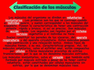 Los músculos del organismo se dividen en voluntarios e
  involuntarios. Los primeros son los que se contraen cuando
 el individuo quiere, y suelen corresponder a los músculos del
 esqueleto. Poseen la característica de tener una contracción
   potente, rápida y brusca, si así se precisa. Son músculos
  de acción rápida. Los segundos son regidos por el sistema
           nervioso vegetativo y el individuo no tiene.
   Suelen constituir las paredes de las vísceras, del aparato
respiratorio y del aparato circulatorio. Estos músculos poseen
    una contracción y una relajación lentas. Ambos tipos de
  músculos tienen, a su vez, características propias. Así, los
músculos voluntarios, salvo el esfínter anal, están compuestos
      por células o fibras musculares provistas de estrías
transversales, por lo que se les denomina músculos estriados.
Los músculos involuntarios, salvo el corazón, que también está
  formado por músculo estriado a pesar de no tener control
    voluntario, están constituidos por células musculares sin
        estrías, por lo que se denominan músculos lisos.
 