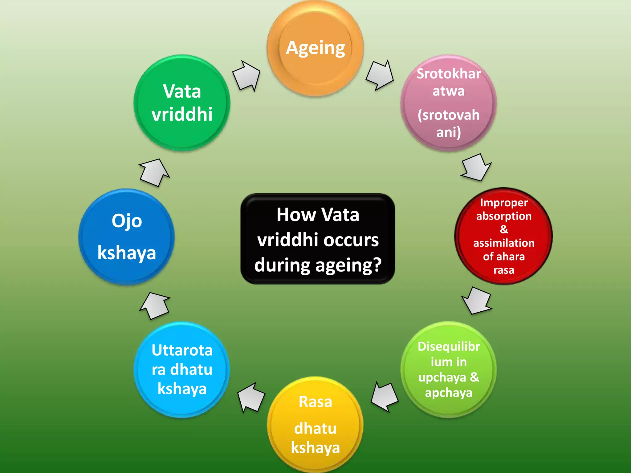 Ageing
                                   Srotokhar
        Vata                         atwa
       vriddhi                     (srotovah
                                      ani)



                                             Improper
 Ojo                How Vata                absorption
                                                  &
                  vriddhi occurs            assimilation
kshaya                                        of ahara
                  during ageing?                rasa




       Uttarota                    Disequilibr
                                     ium in
       ra dhatu                    upchaya &
        kshaya                      apchaya
                      Rasa
                     dhatu
                     kshaya
 