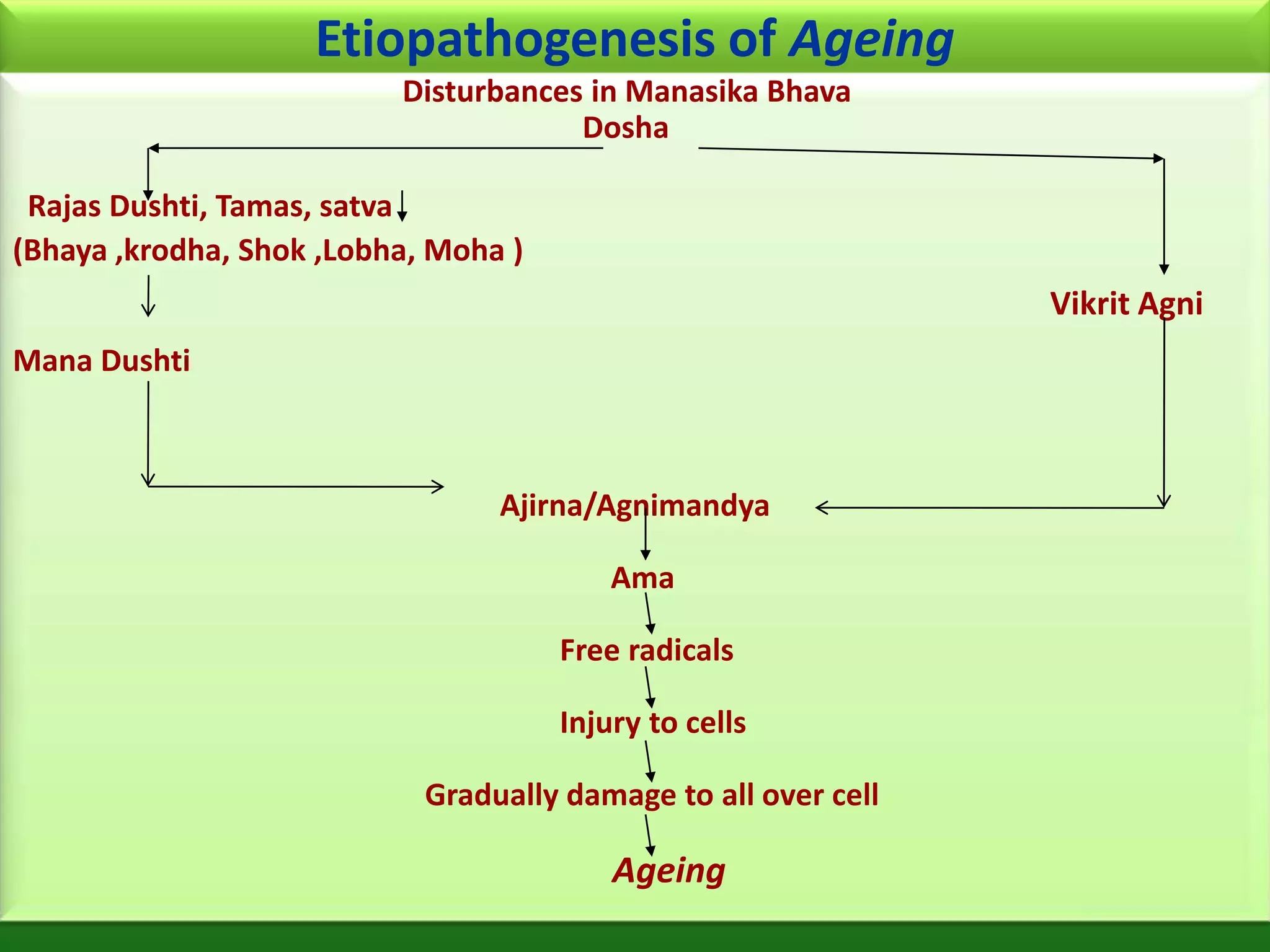 Etiopathogenesis of Ageing
                          Disturbances in Manasika Bhava
                                      Dosha

 Rajas Dushti, Tamas, satva
(Bhaya ,krodha, Shok ,Lobha, Moha )
                                                                Vikrit Agni
Mana Dushti



                                 Ajirna/Agnimandya

                                          Ama

                                      Free radicals

                                      Injury to cells

                            Gradually damage to all over cell

                                          Ageing
 