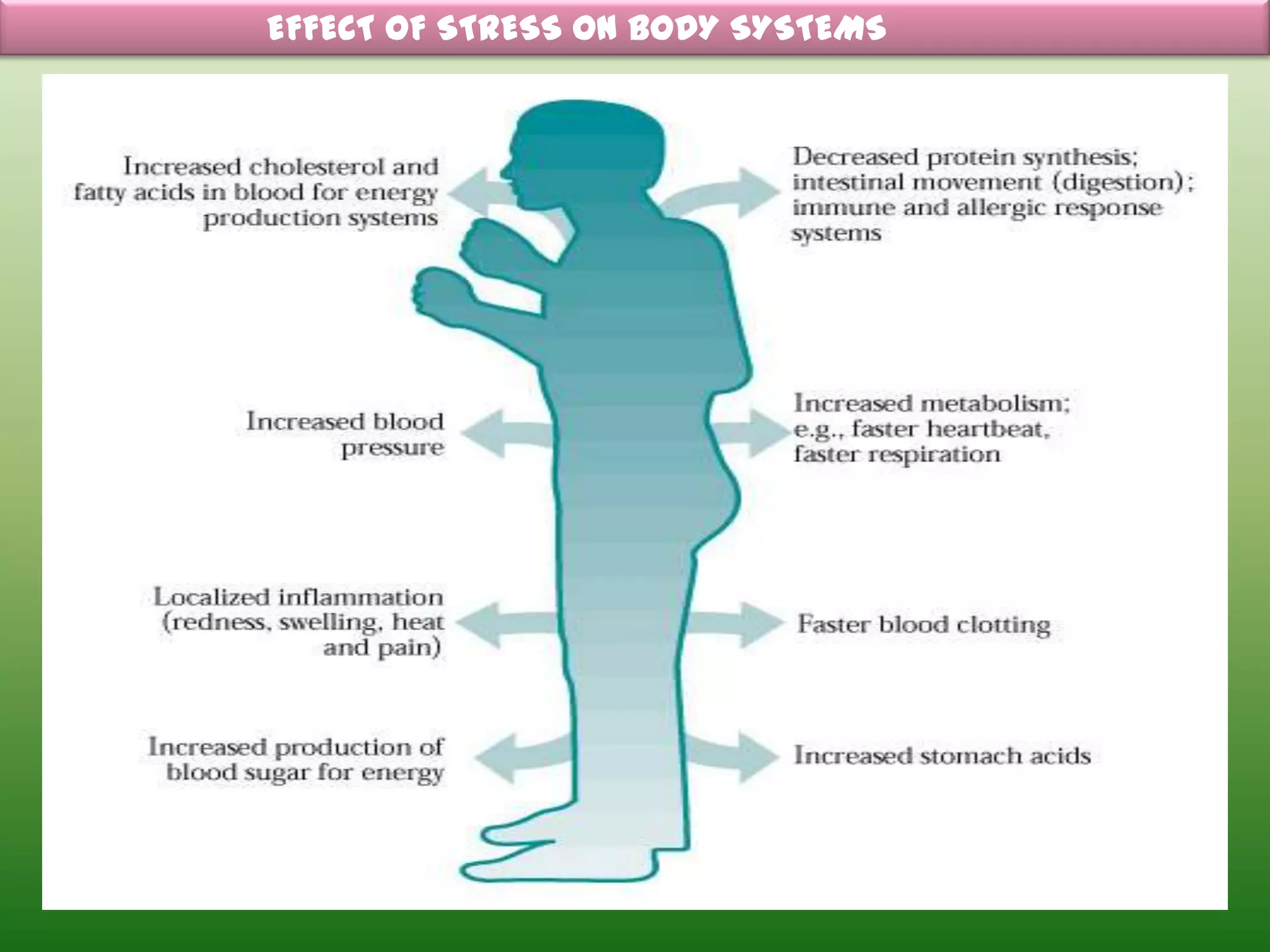EFFECT OF STRESS ON BODY SYSTEMS
 