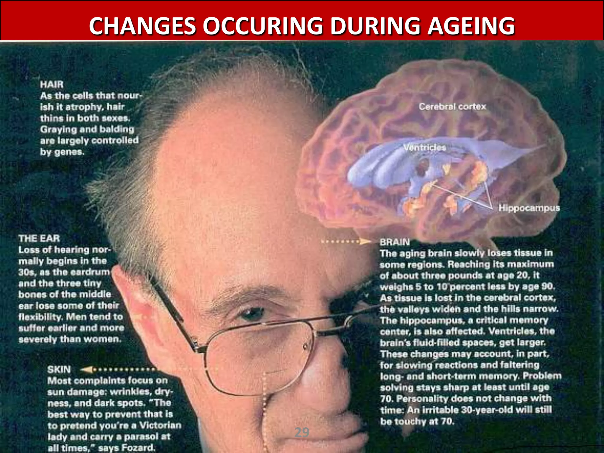 CHANGES OCCURING DURING AGEING




              29
 