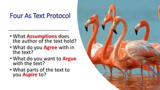 Four As Text Protocol
• What Assumptions does
the author of the text hold?
• What do you Agree with in
the text?
• What do you want to Argue
with the text?
• What parts of the text to
you Aspire to?
 