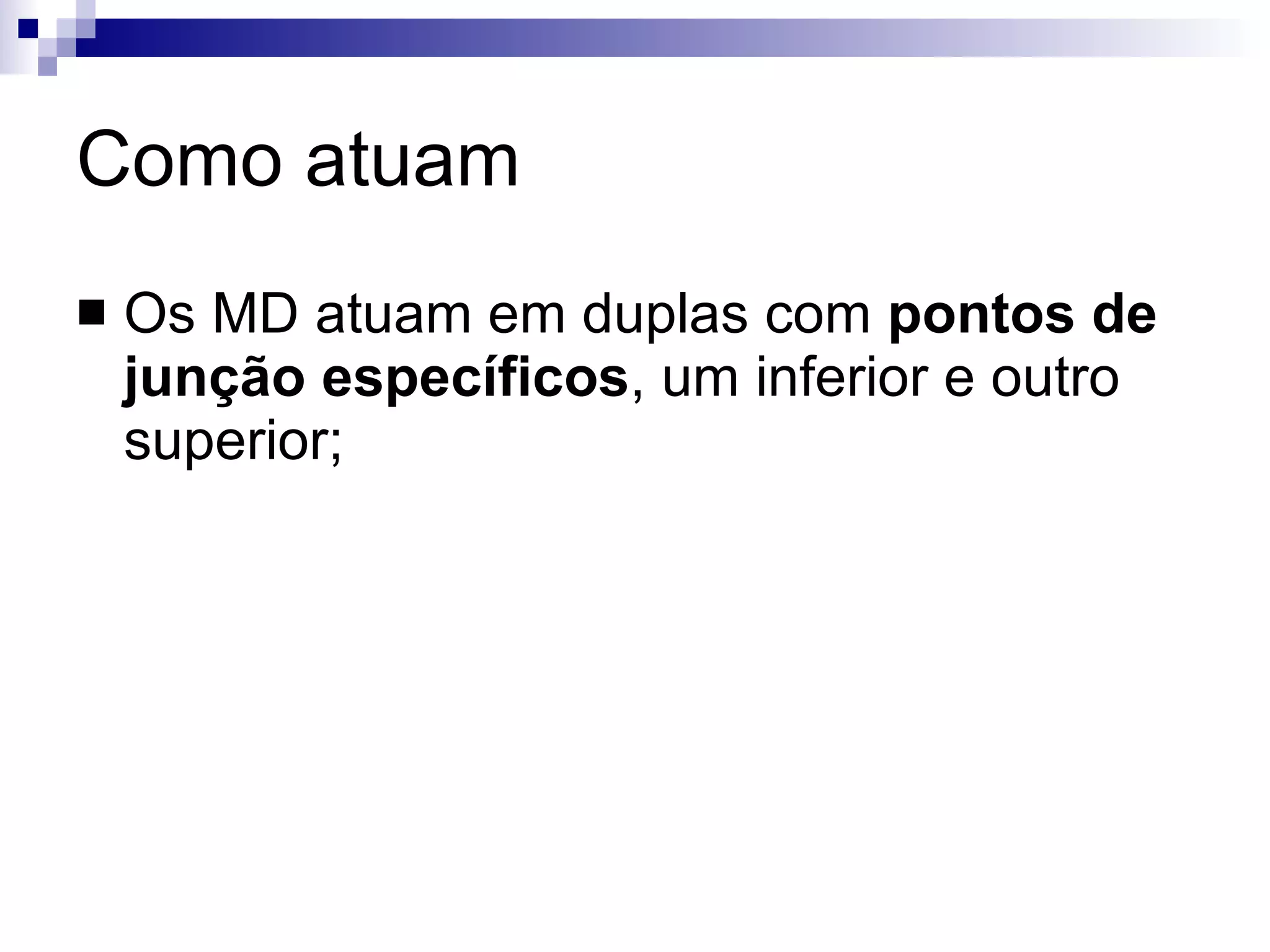 Como atuam Os MD atuam em duplas com  pontos de junção específicos , um inferior e outro superior; 