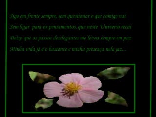 Sigo em frente sempre, sem questionar o que comigo vai Sem ligar  para os pensamentos, que neste  Universo recai Deixo que os passos deselegantes me levem sempre em paz Minha vida já é o bastante e minha presença nela jaz... 