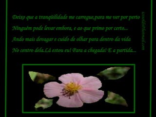 Deixo que a tranqüilidade me carregue,para me ver por perto Ninguém pode levar embora, e ao que primo por certo... Ando mais devagar e cuido de olhar para dentro da vida No centro dela.Lá estou eu! Para a chegada! E a partida... [email_address] 