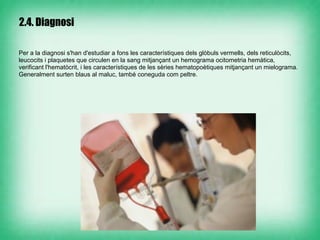 2.4. Diagnosi

Per a la diagnosi s'han d'estudiar a fons les característiques dels glòbuls vermells, dels reticulòcits,
leucocits i plaquetes que circulen en la sang mitjançant un hemograma ocitometria hemàtica,
verificant l'hematòcrit, i les característiques de les sèries hematopoètiques mitjançant un mielograma.
Generalment surten blaus al maluc, també coneguda com peltre.
 